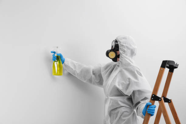 Best Environmental Consulting for Mold Prevention  in Seabrook Island, SC