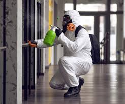 Professional Mold Removal Services in Seabrook Island, SC